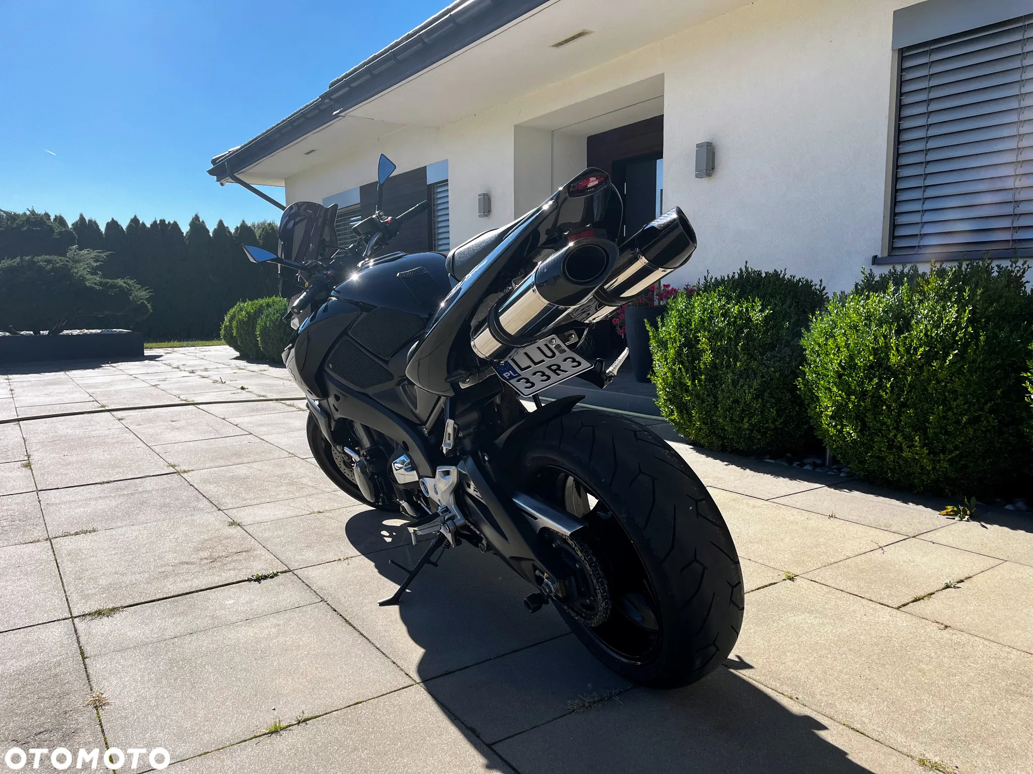 Suzuki GSX - 5