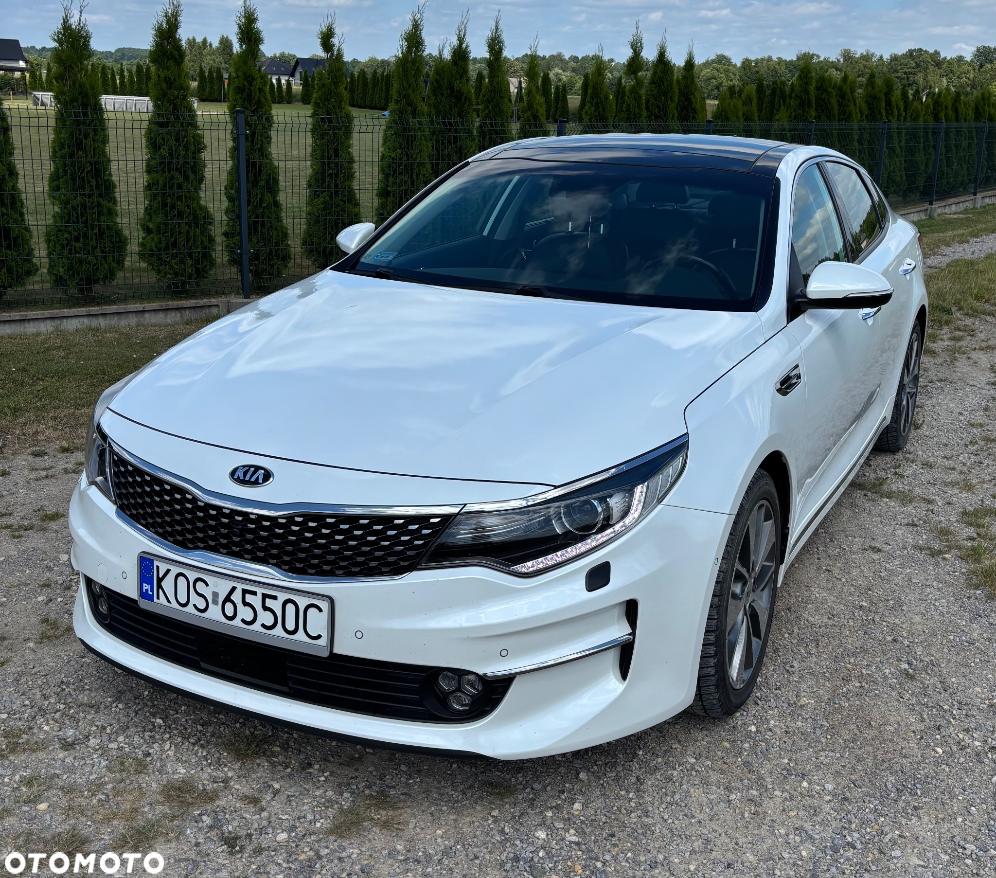 Kia Optima 1.7 CRDI DCT Business Supreme - 2