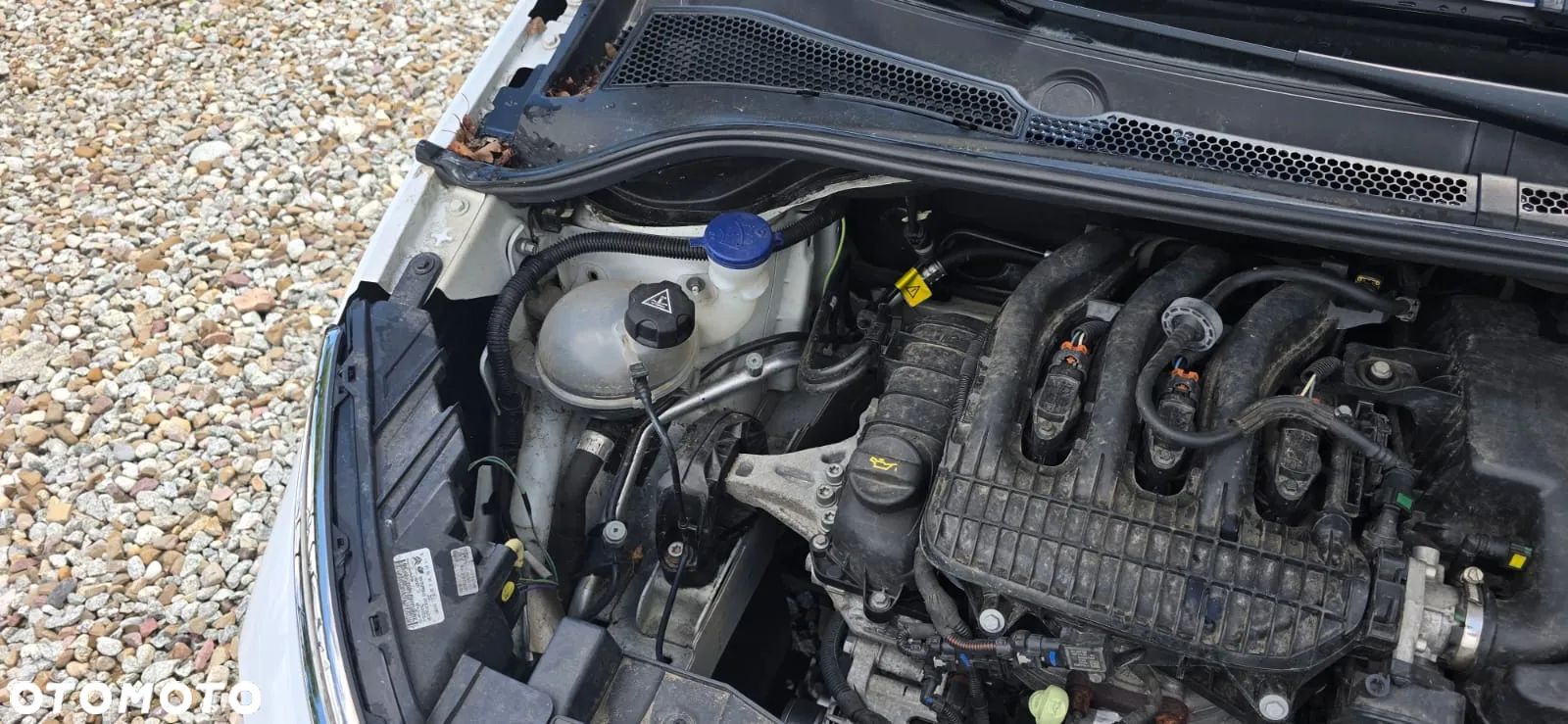 Citroën C3 1.2 PureTech Live - 24