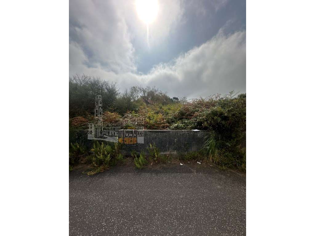 TERRENO COM 1068m2 EM CAMPANHÃ - Grande imagem: 2/23