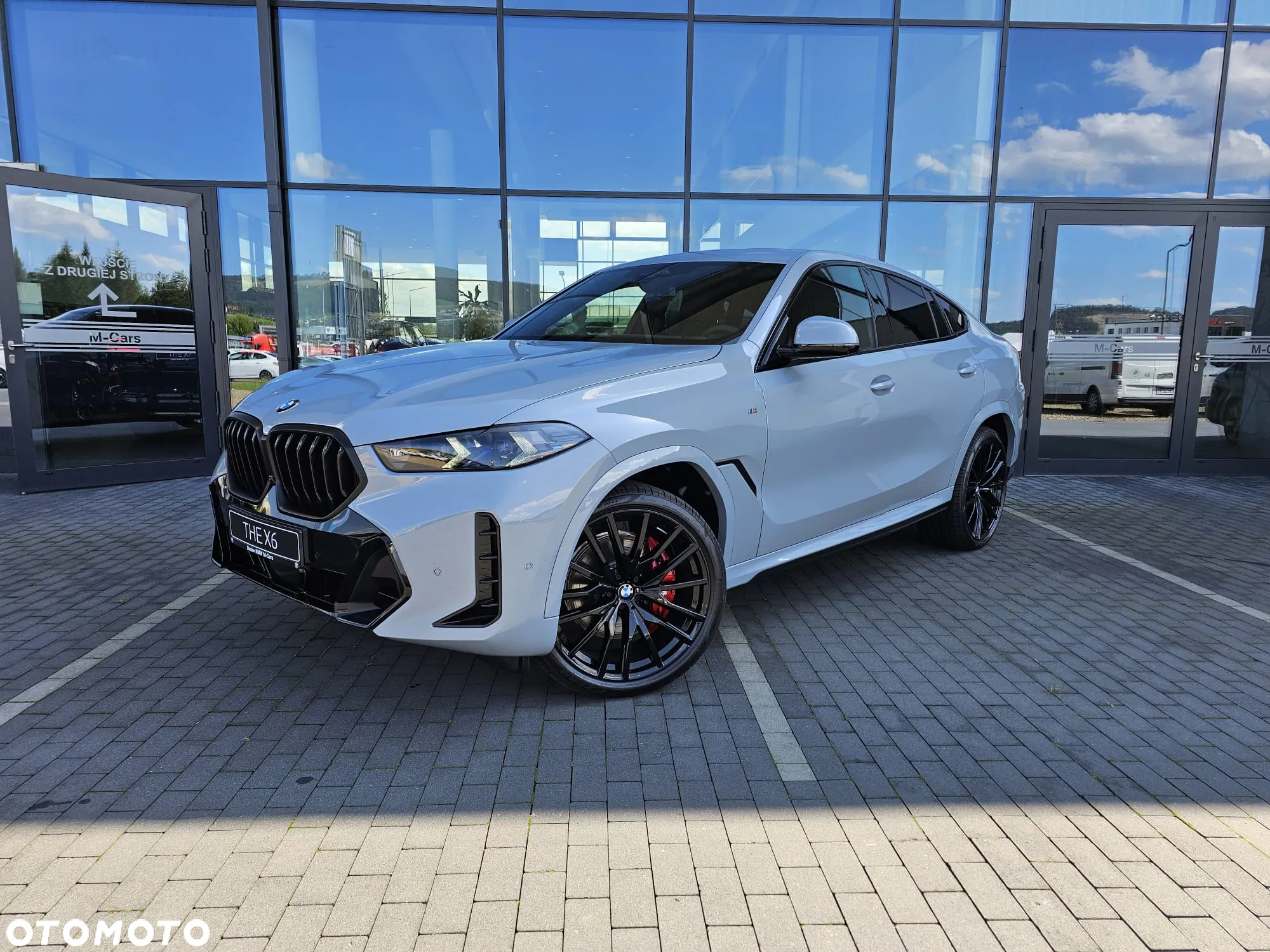 BMW X6 ver-xdrive30d - 9