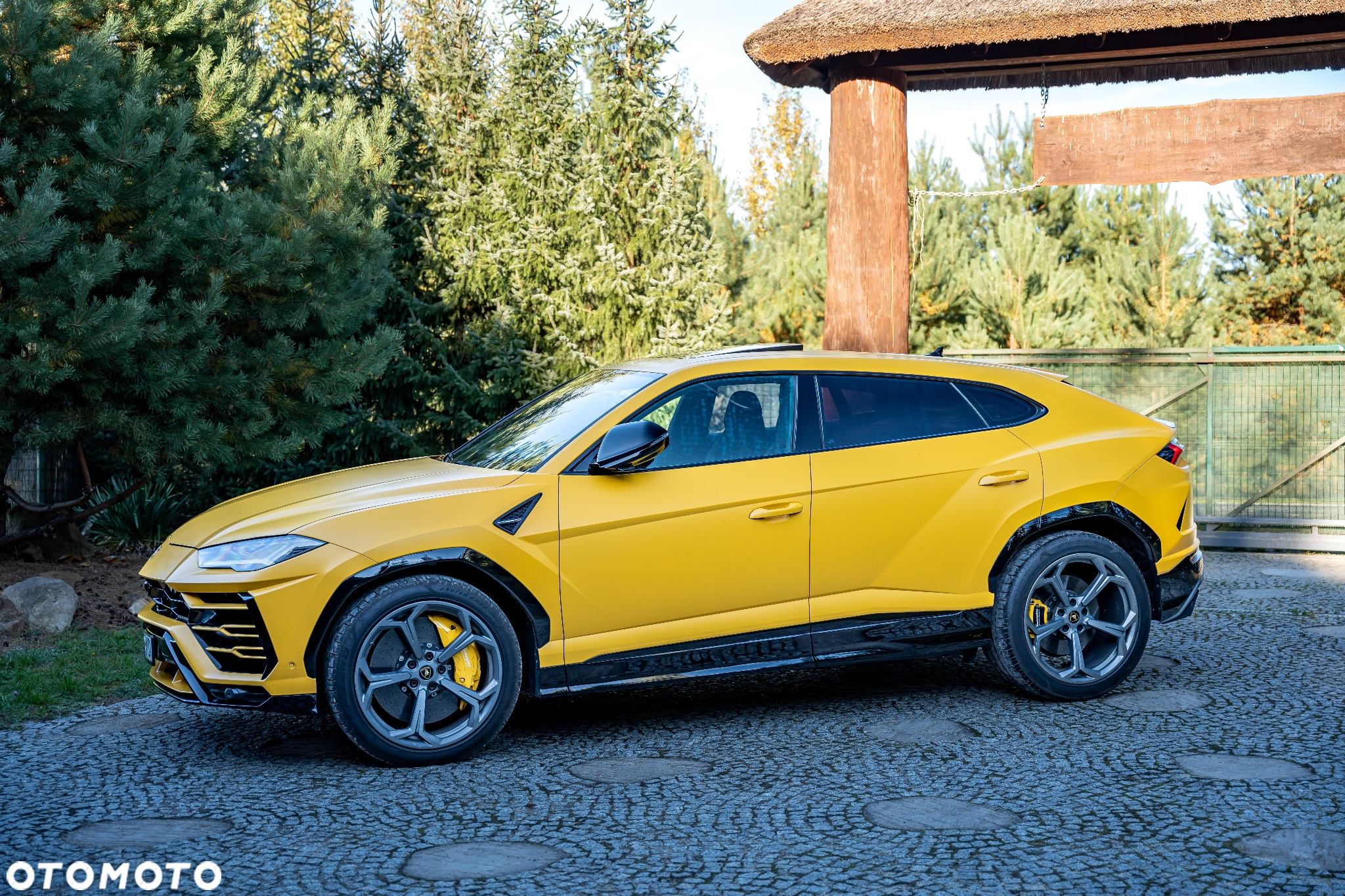 Lamborghini Urus Standard - 5