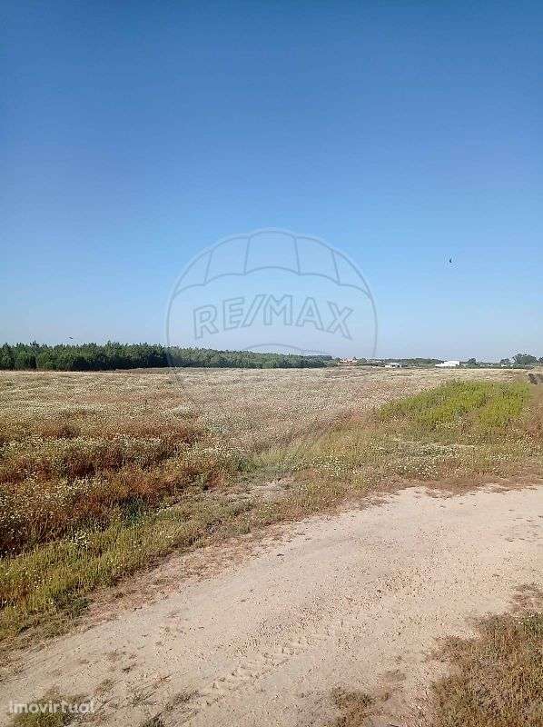 Terreno  para venda - Grande imagem: 2/5