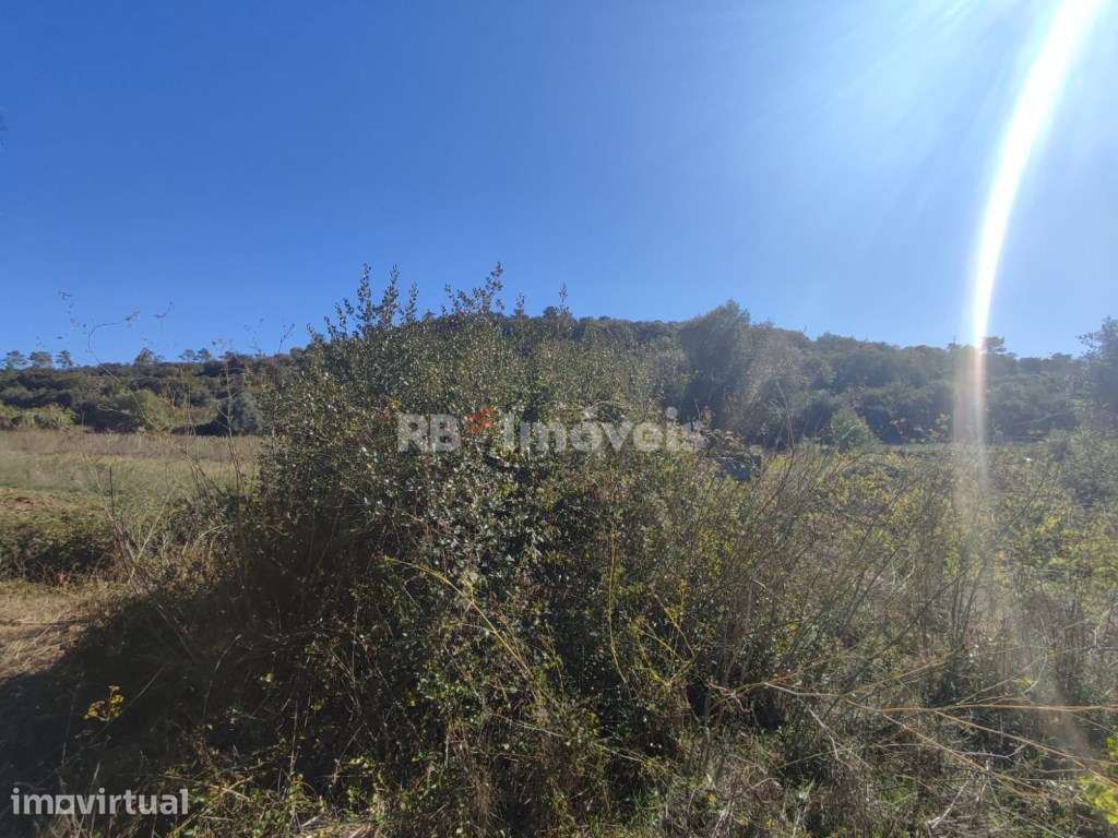 Terreno Rústico com 600m² - Póvoa, Tomar - Grande imagem: 5/16