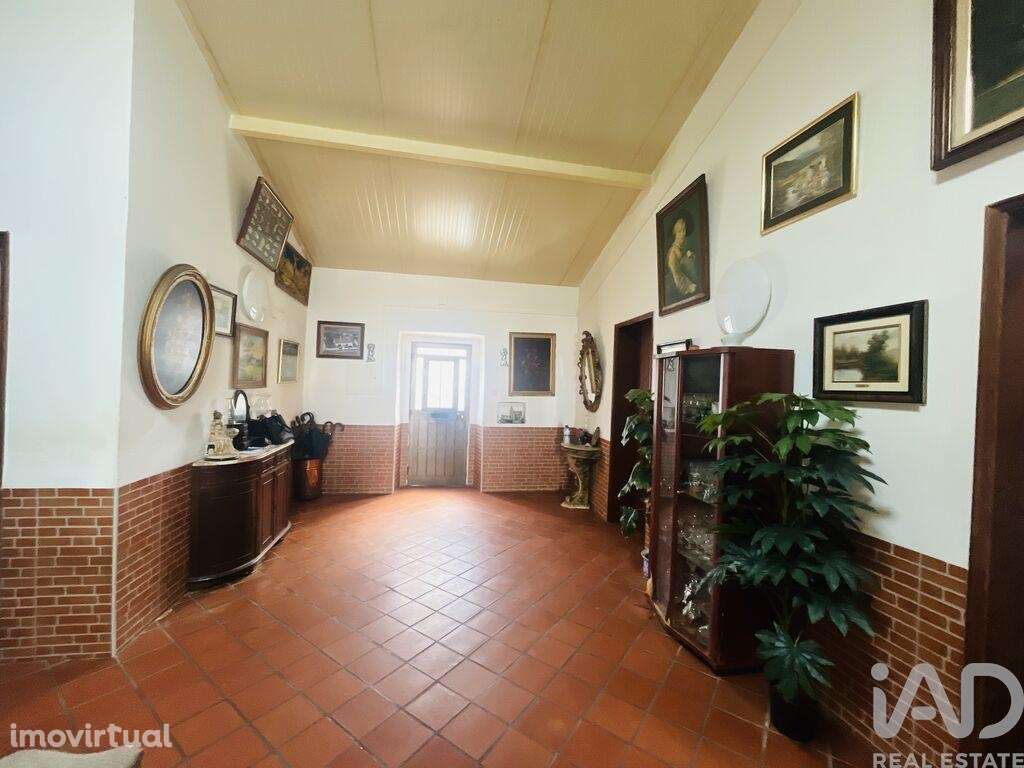 Moradia térrea T3 em Cabeça Gorda - Grande imagem: 3/21