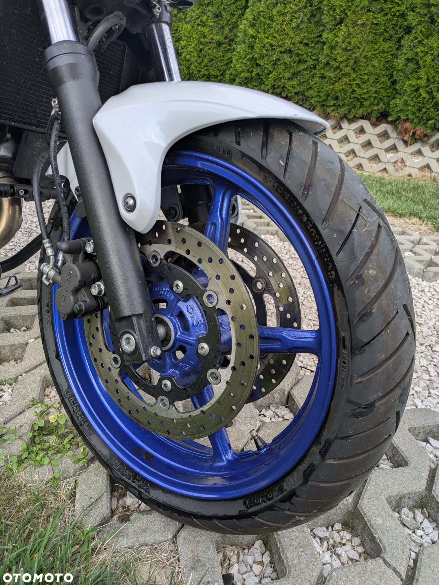 Suzuki Gladius - 6