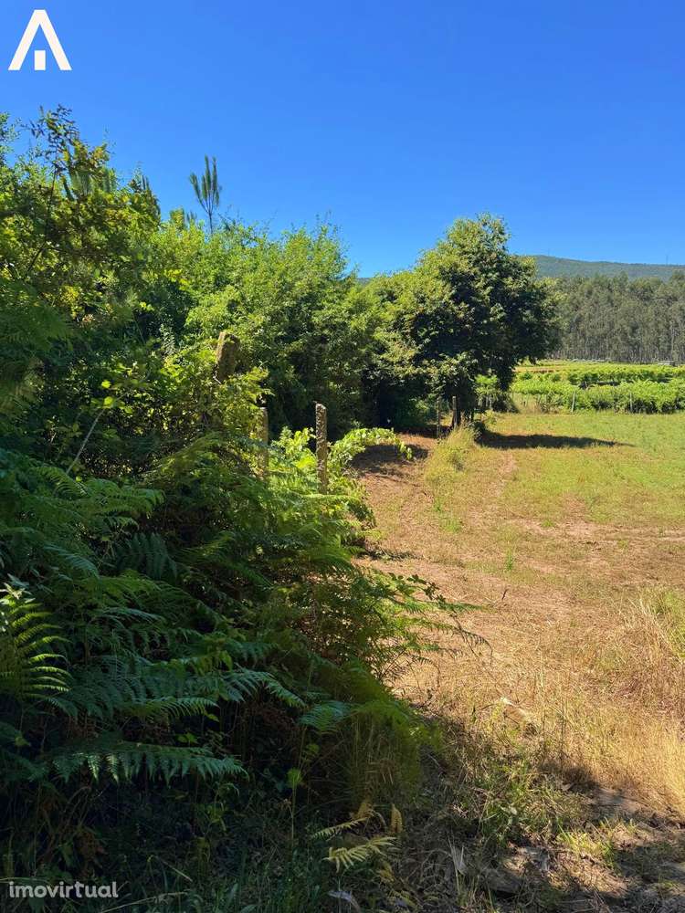 Terreno Abade de Neiva - Grande imagem: 2/9