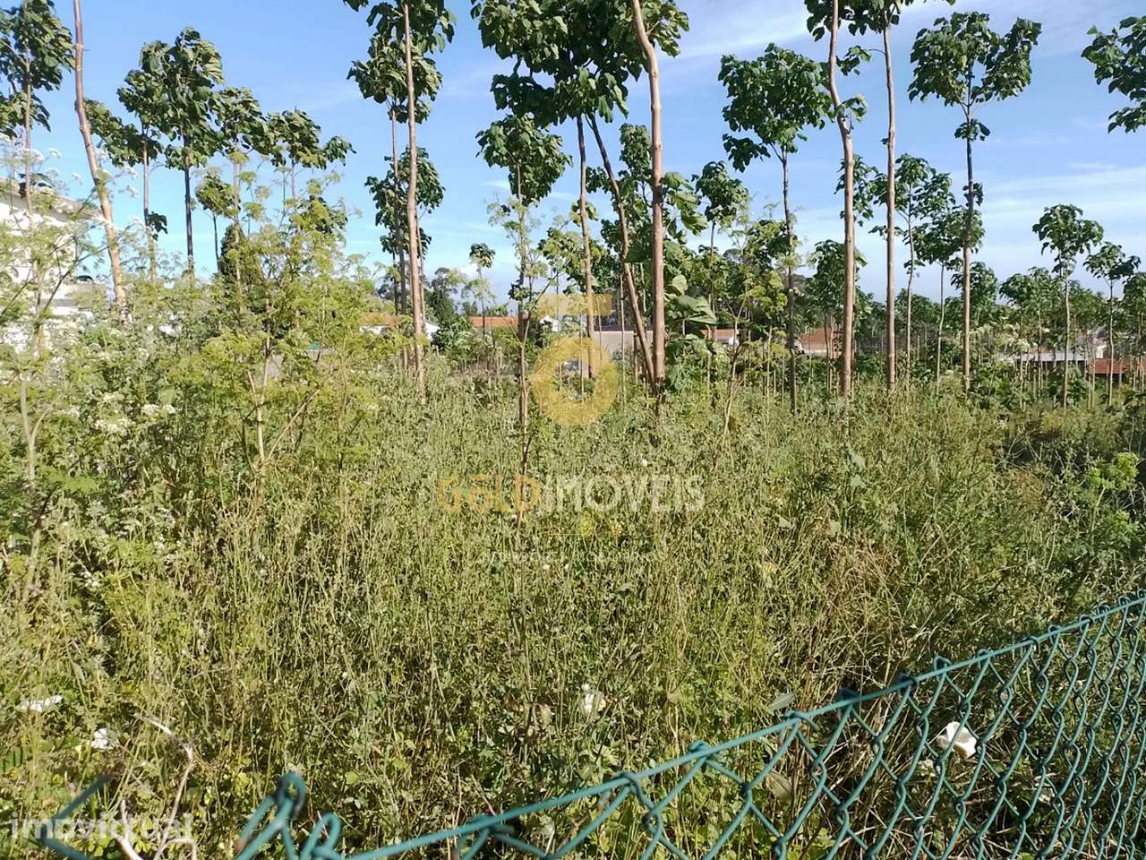 Terreno para Construção - Grande imagem: 3/7