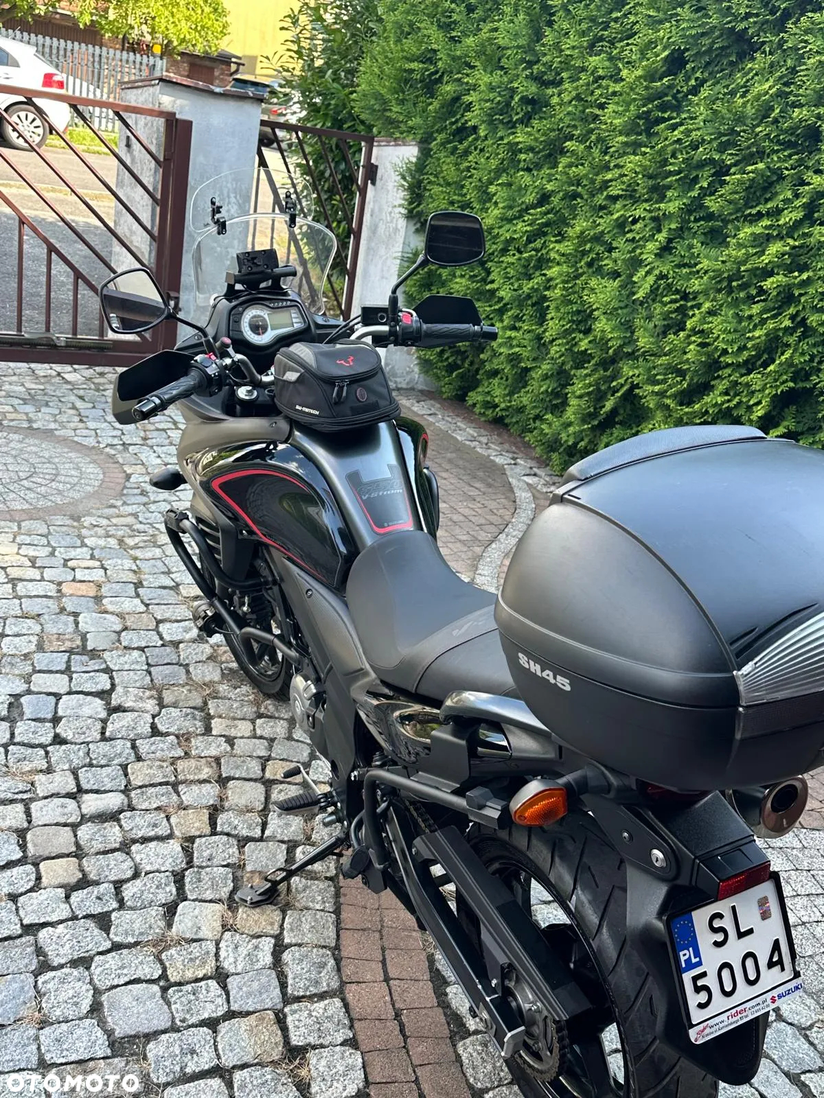 Suzuki DL - 15