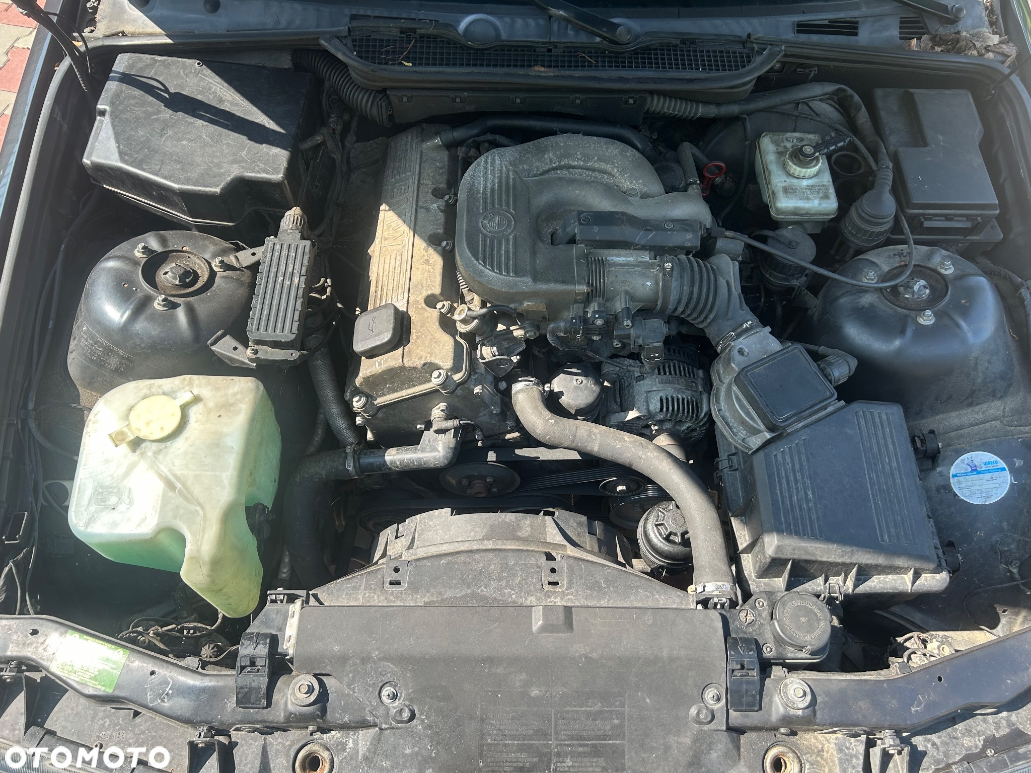 BMW Seria 3 316i - 11