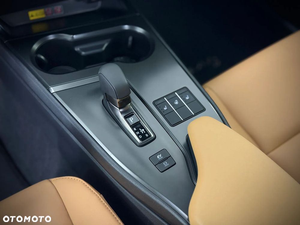 Lexus UX 300h F Sport Design - 20