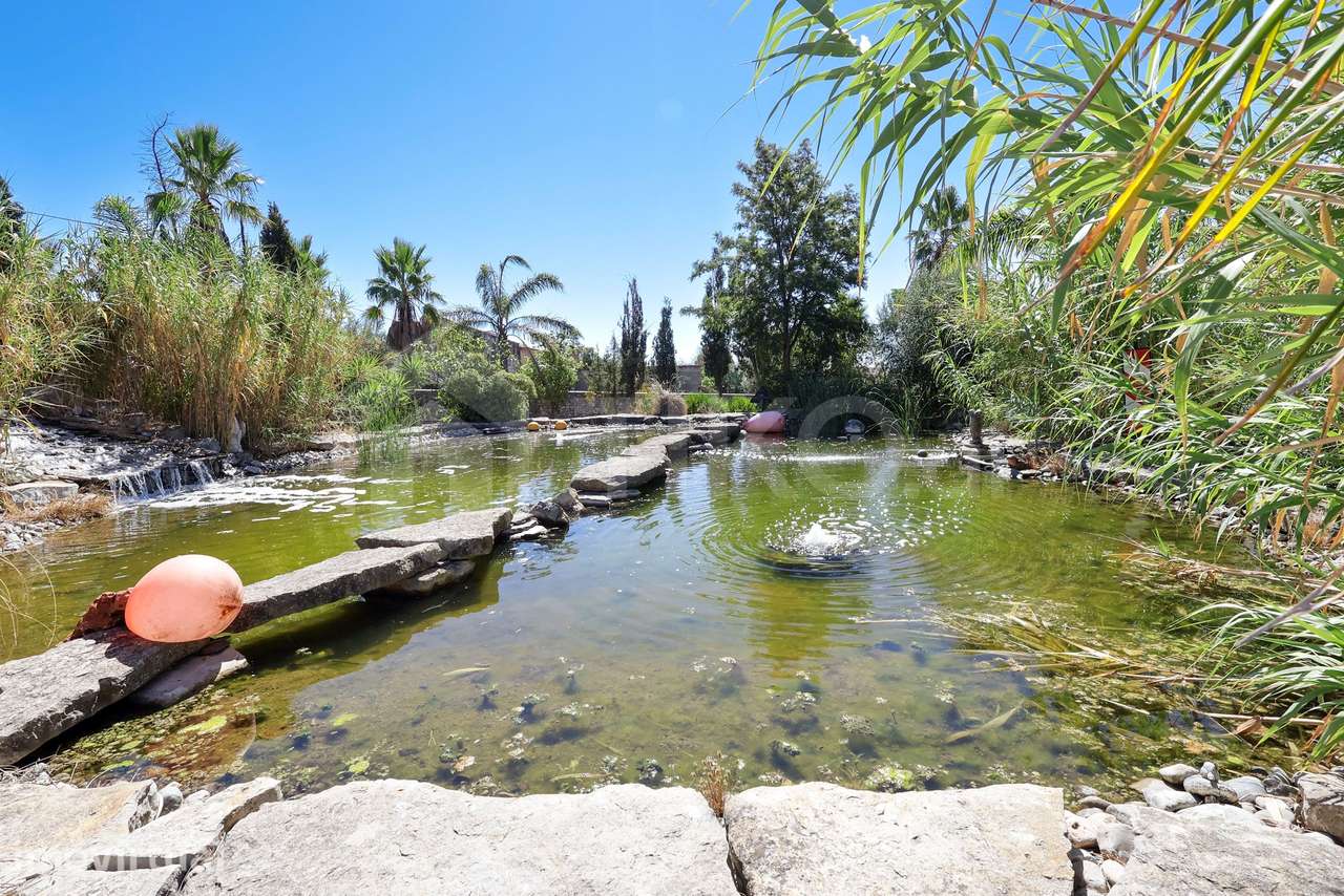 QUINTA T7 COM ALOJAMENTO LOCAL, RESTAURANTE, PISCINA E LAGO EM BEJA SÃ - Grande imagem: 4/60