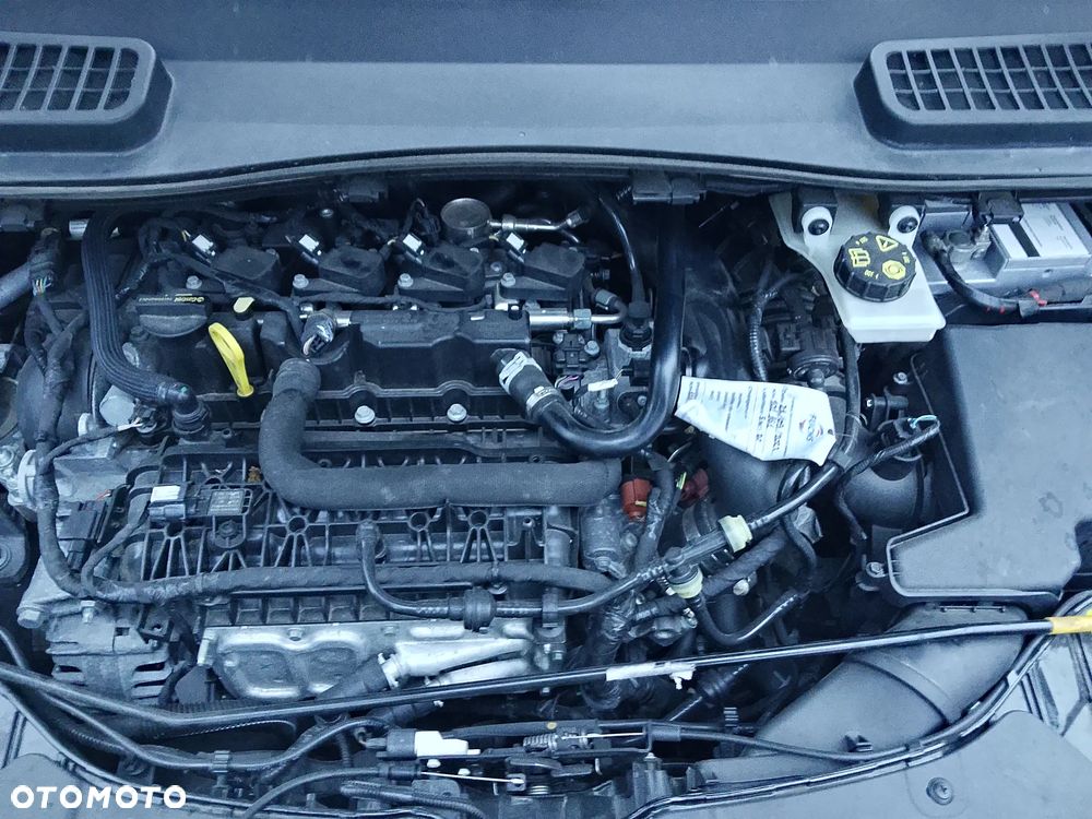 Ford Kuga - 13