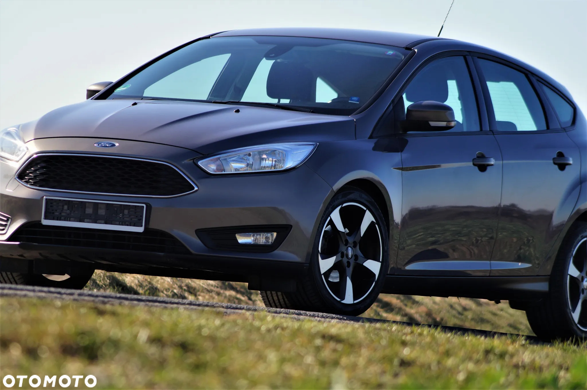 Ford Focus - 21