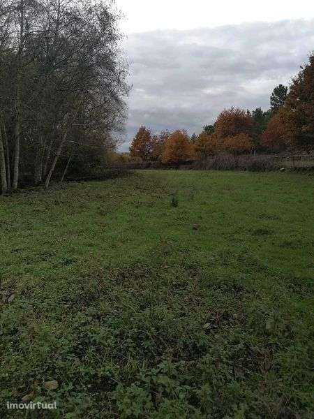 Quinta 20 000 m2 Cabanas de Viriato - Grande imagem: 2/8