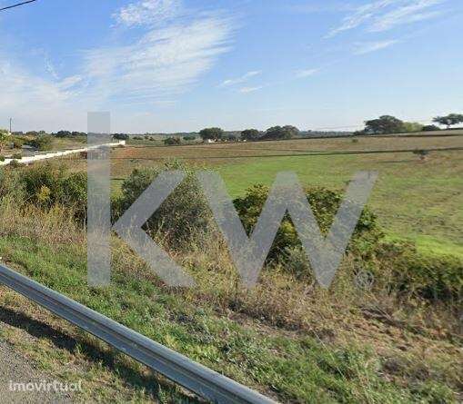 Terreno rústico de cultura de Arvense de sequeiro 0,400000 ha em Odive - Grande imagem: 4/4