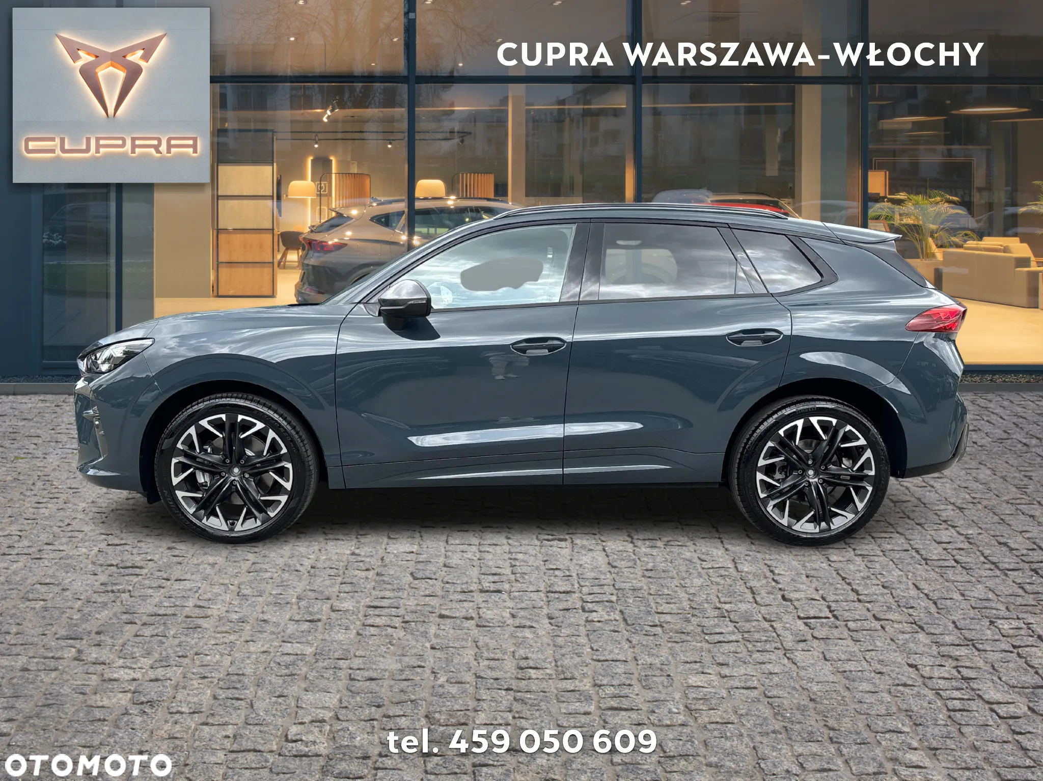 Cupra Terramar 2.0 TSI 4Drive DSG - 2