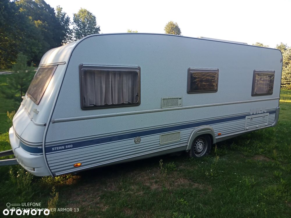 Wilk 560 - 2