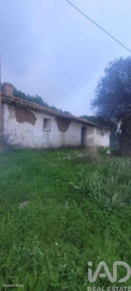 Quinta em São Teotónio de 240 m2 - Grande imagem: 3/10