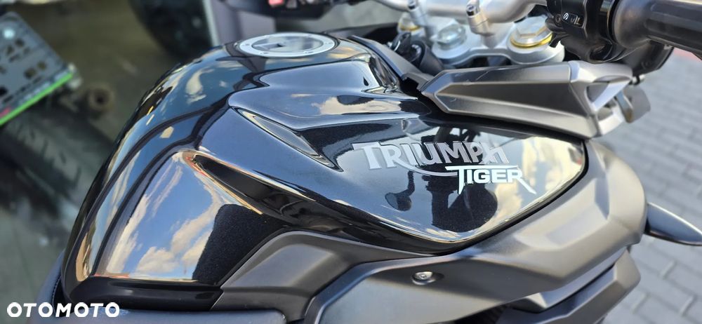 Triumph Tiger - 19