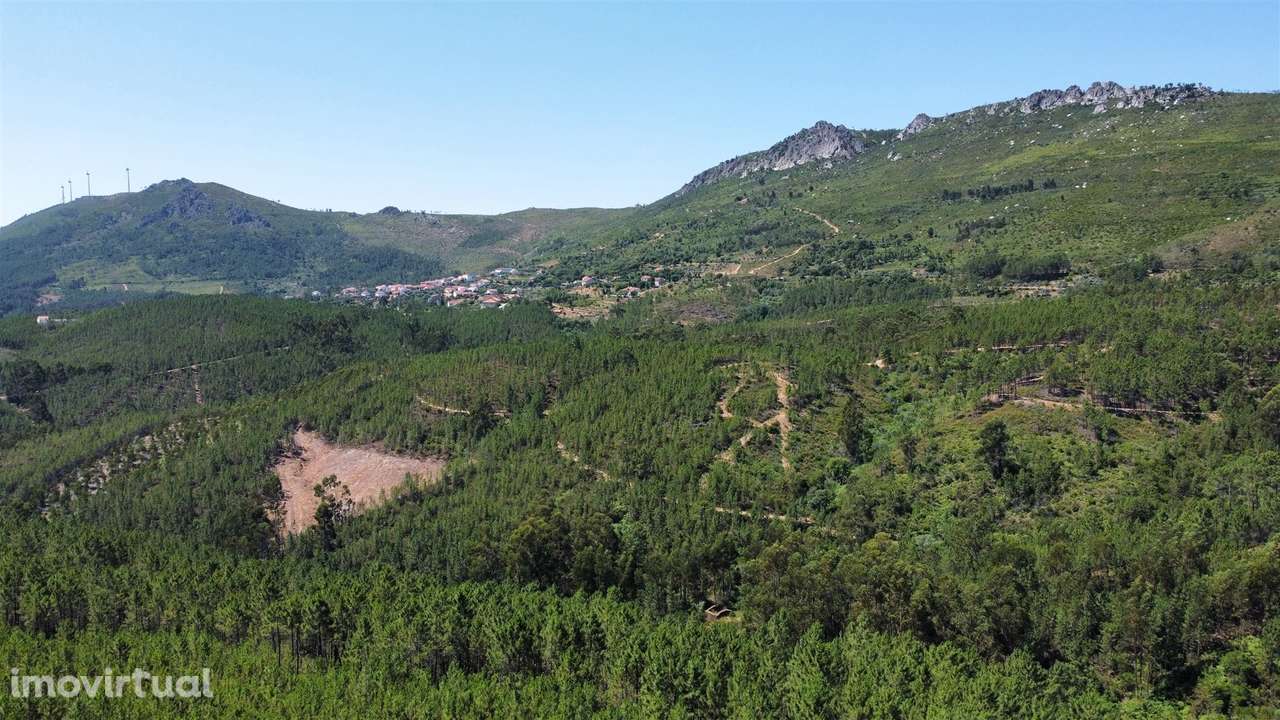 Terreno Rústico  Venda em Sarnadas de São Simão,Oleiros - Grande imagem: 2/11