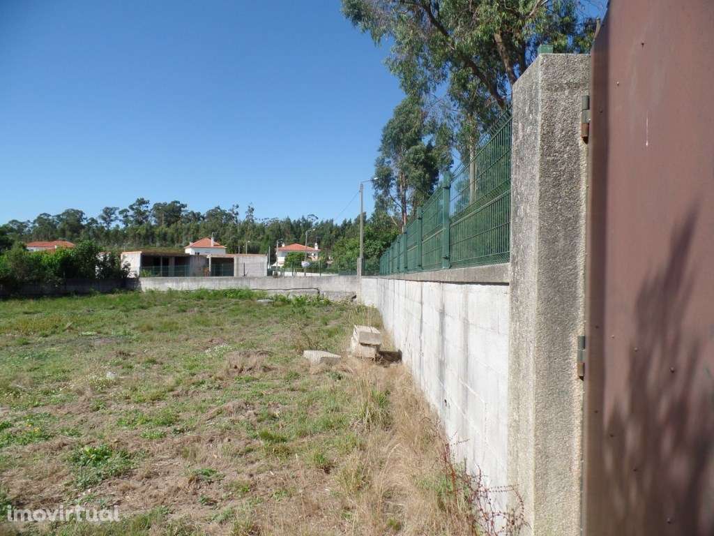 Terreno em Landim - Grande imagem: 5/10