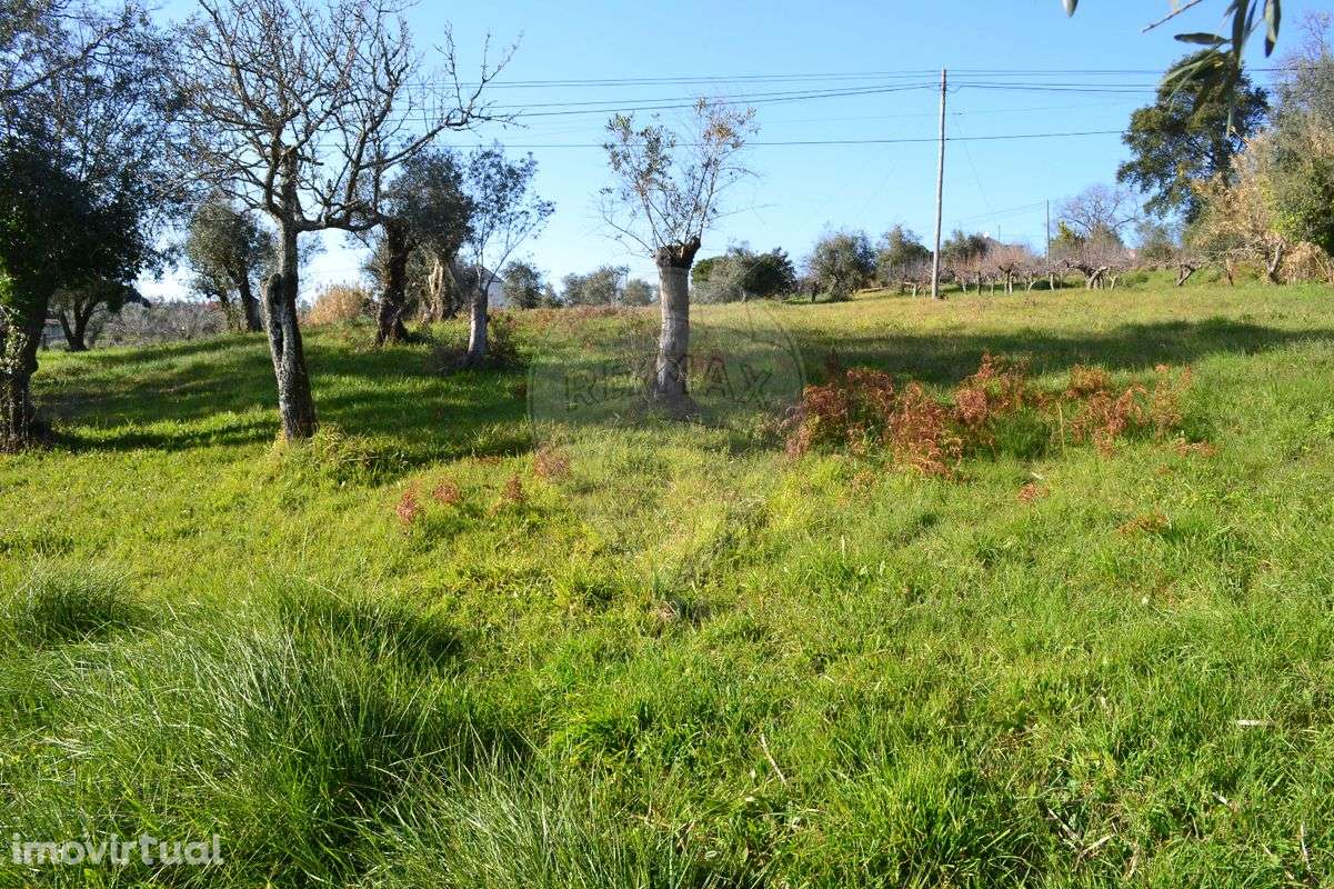 Terreno  para venda - Grande imagem: 4/44