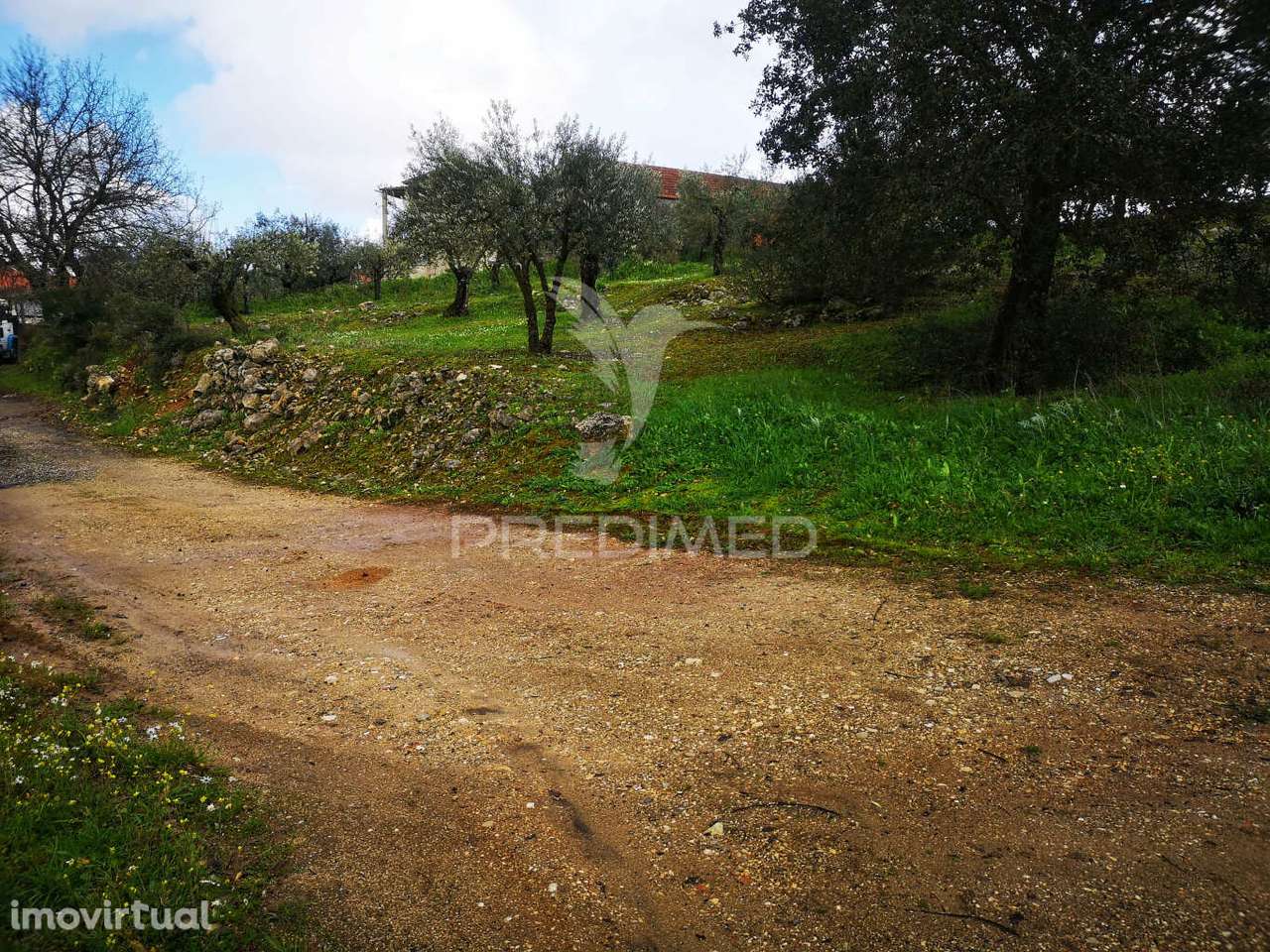 Terreno Rústico Urbanizável em Santa Catarina da Serra e Chainça - Grande imagem: 4/9