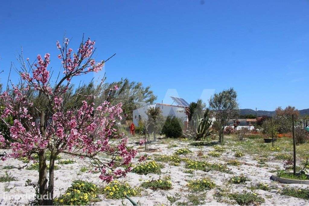 Terreno rústico com 4200m2 e benfeitorias MORADIAS perto de Vila Nova - Grande imagem: 3/33