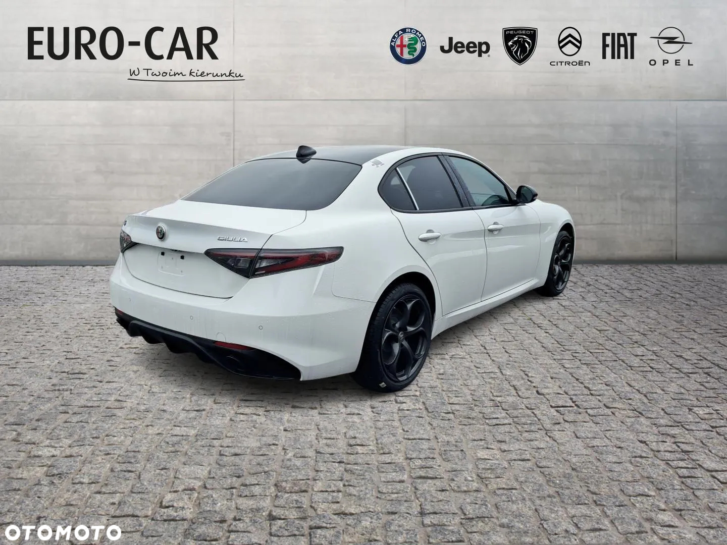 Alfa Romeo Giulia 2.0 Turbo Tributo Italiano Q4 - 5