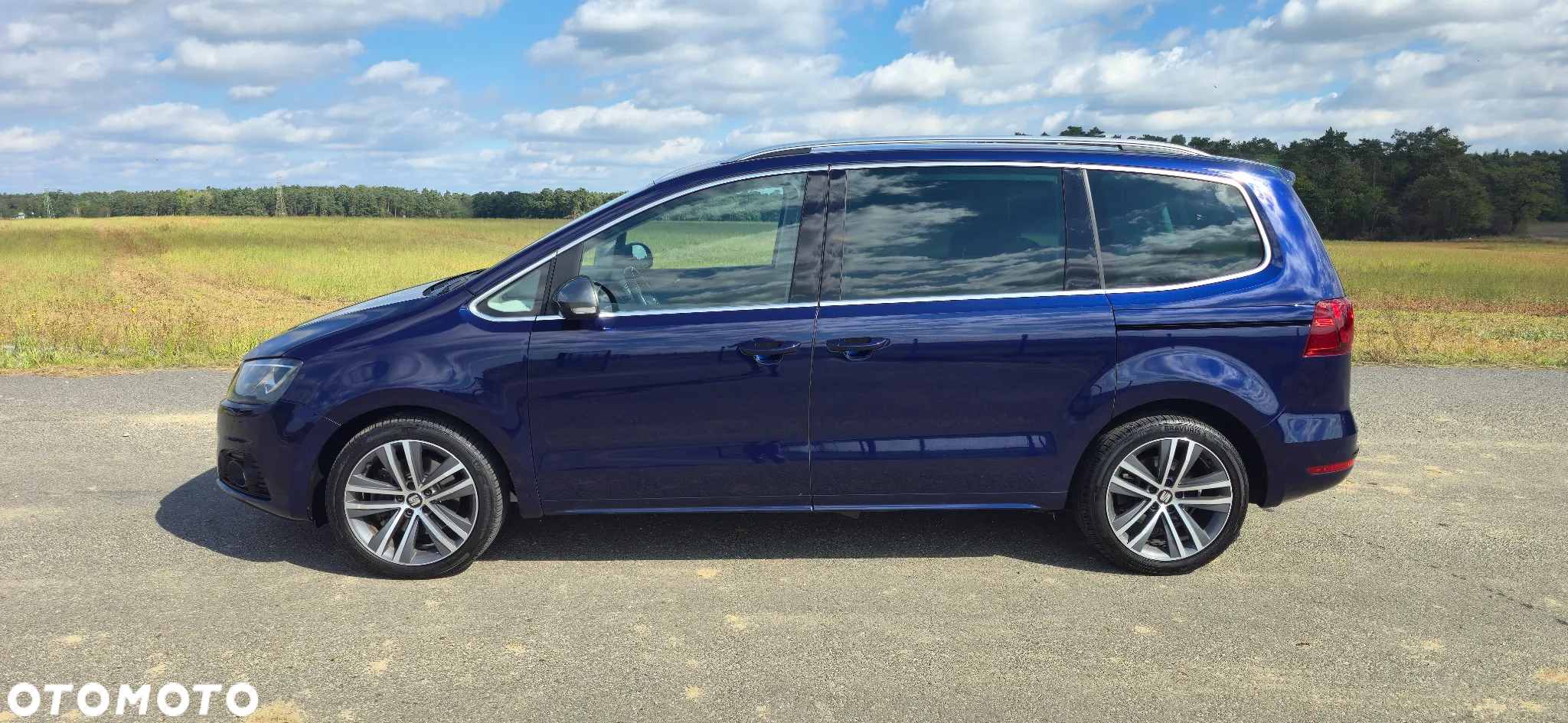 Seat Alhambra 2.0 TDI S&S 4Drive DSG FR-LINE - 16