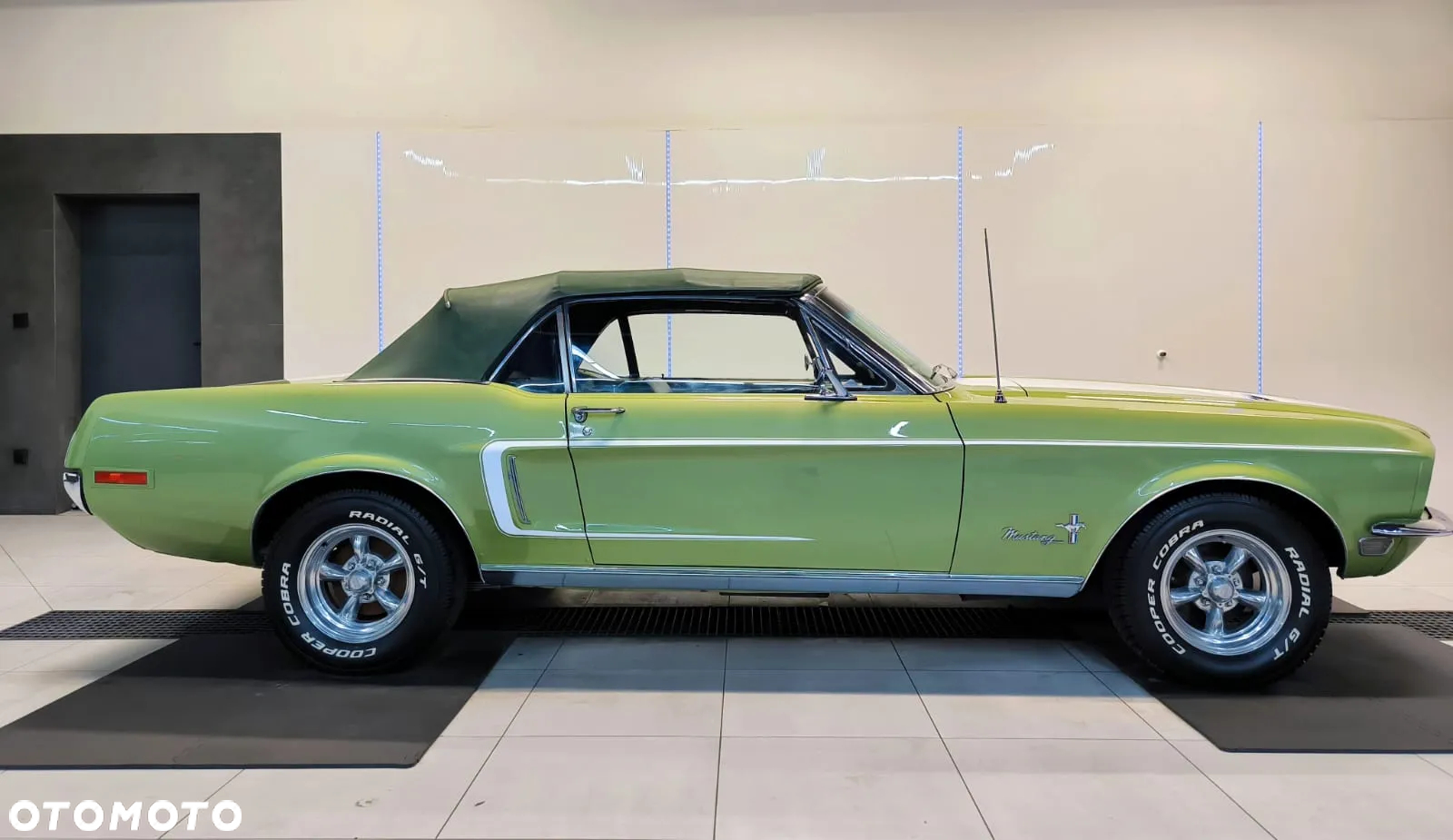 Ford Mustang - 3