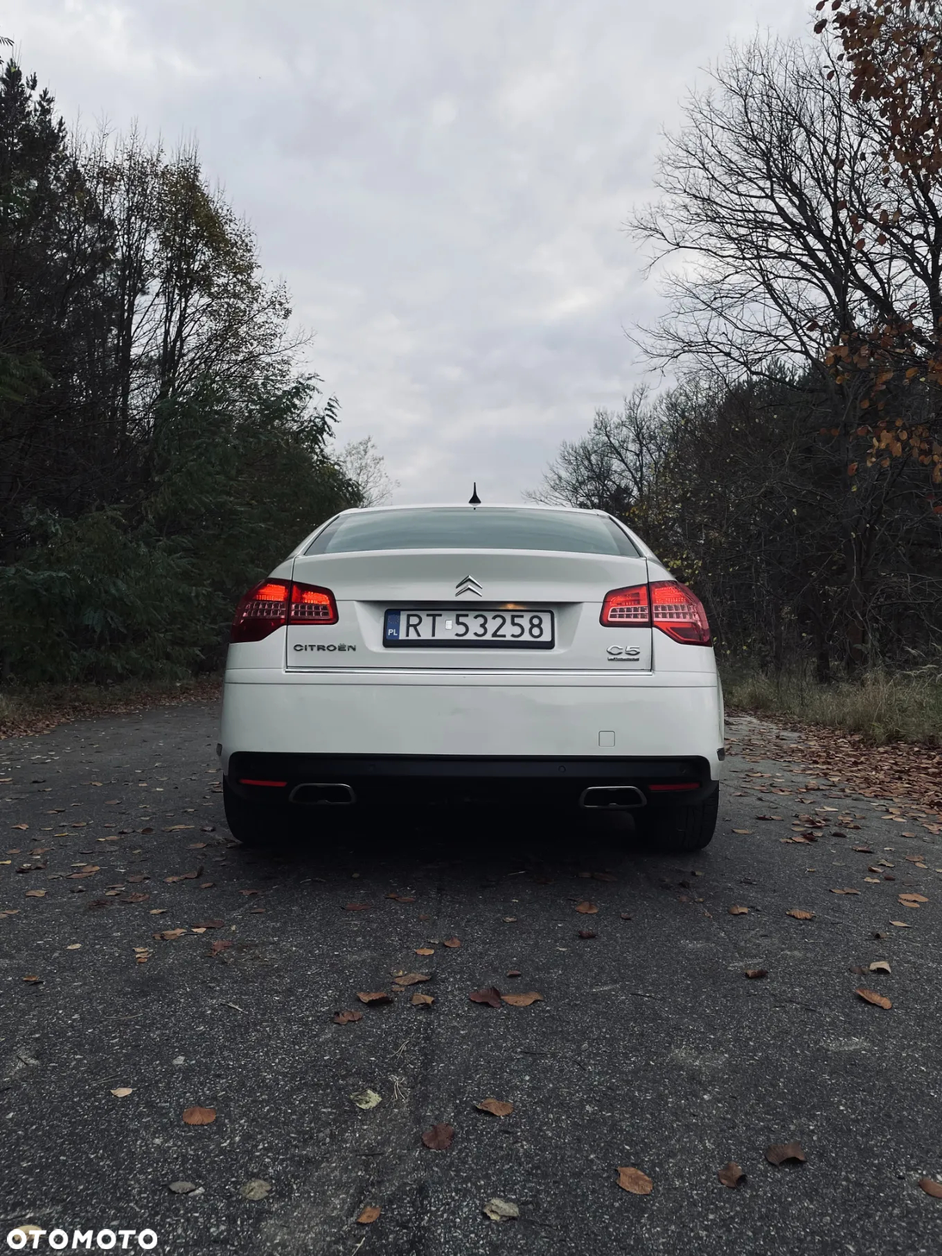 Citroën C5 3.0 HDi V6 Exclusive - 11