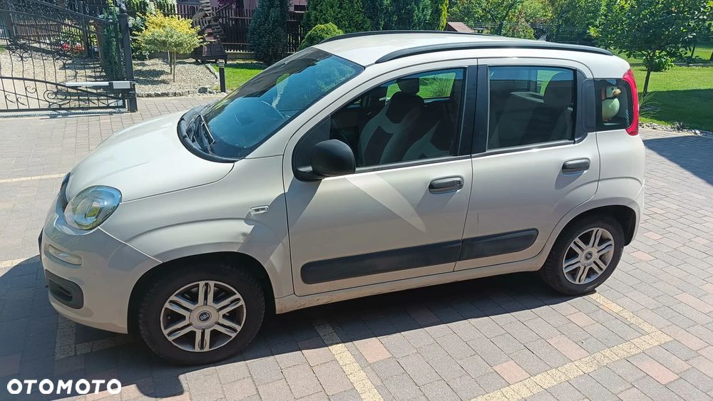 Fiat Panda 1.2 Young - 2