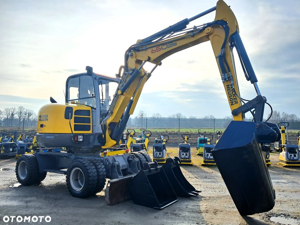 Wacker Neuson 6503 - 10