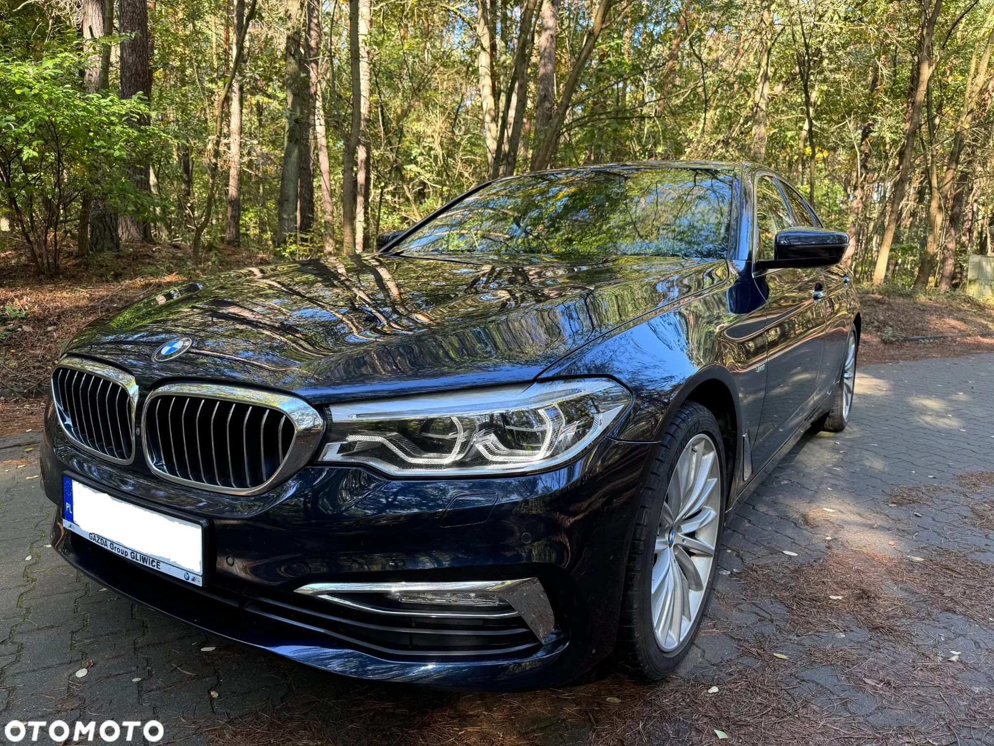 BMW Seria 5 520d xDrive Luxury Line - 1