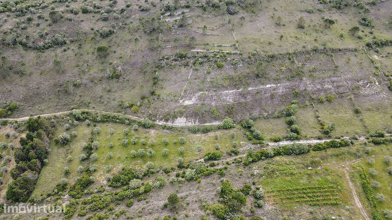 Herdade  para venda - Grande imagem: 5/7