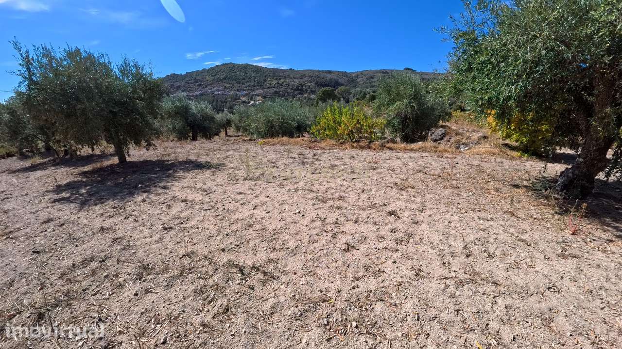 Quinta em Fornos de Algodres - Grande imagem: 5/16