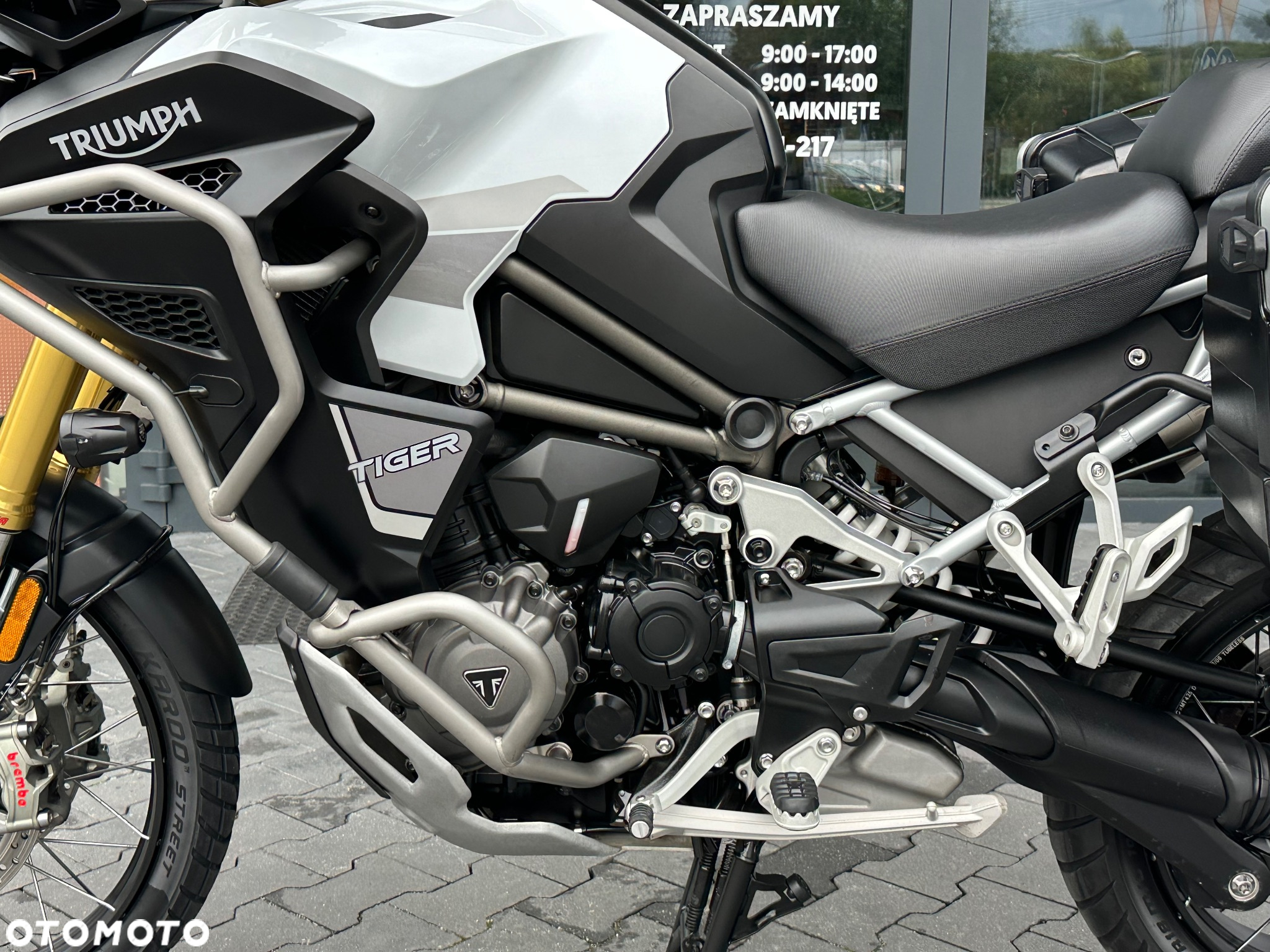 Triumph Tiger - 37