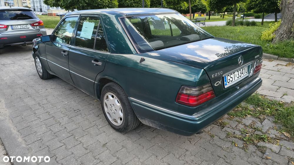 Mercedes-Benz W124 1994 photo 2