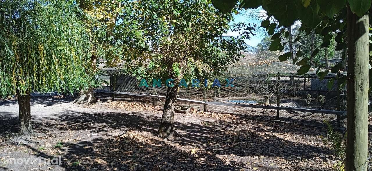 ANG1239 - Herdade para Venda em Vieira de Leiria - Grande imagem: 4/12
