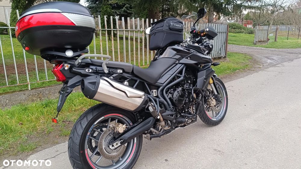 Triumph Tiger - 4
