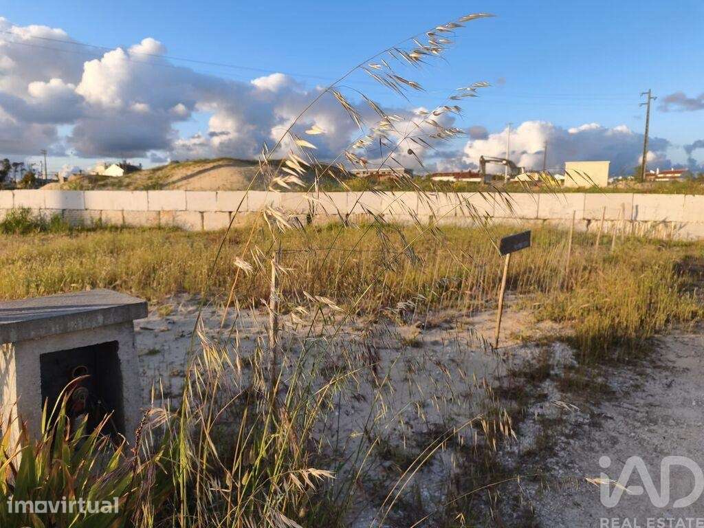 Terreno para construção em Pataias e Martingança - Grande imagem: 5/7