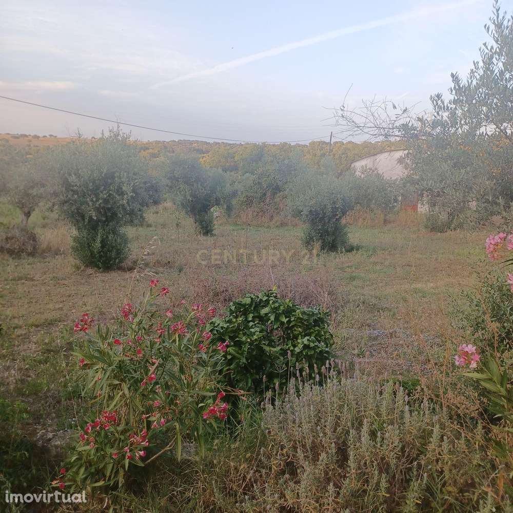 Terreno em Seda - Alter do Chão - Grande imagem: 4/12