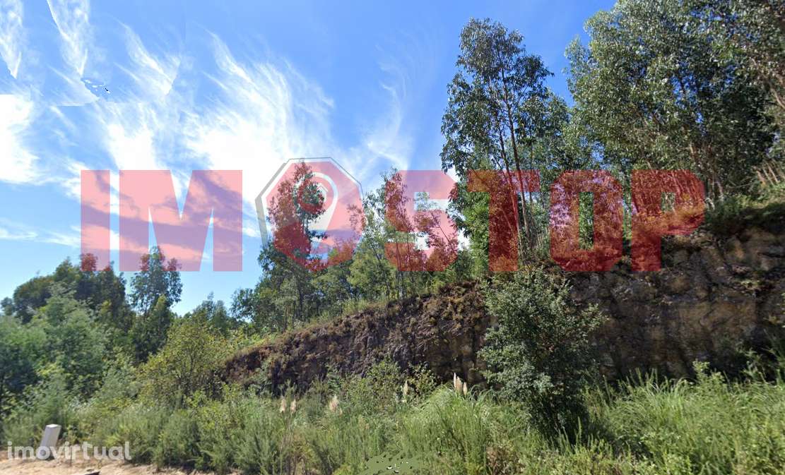 Terreno rústico - São João da Madeira - Grande imagem: 4/6