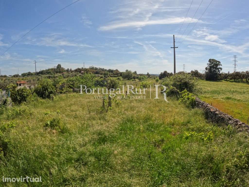 Quintinha T1 com piscina - Grande imagem: 5/31