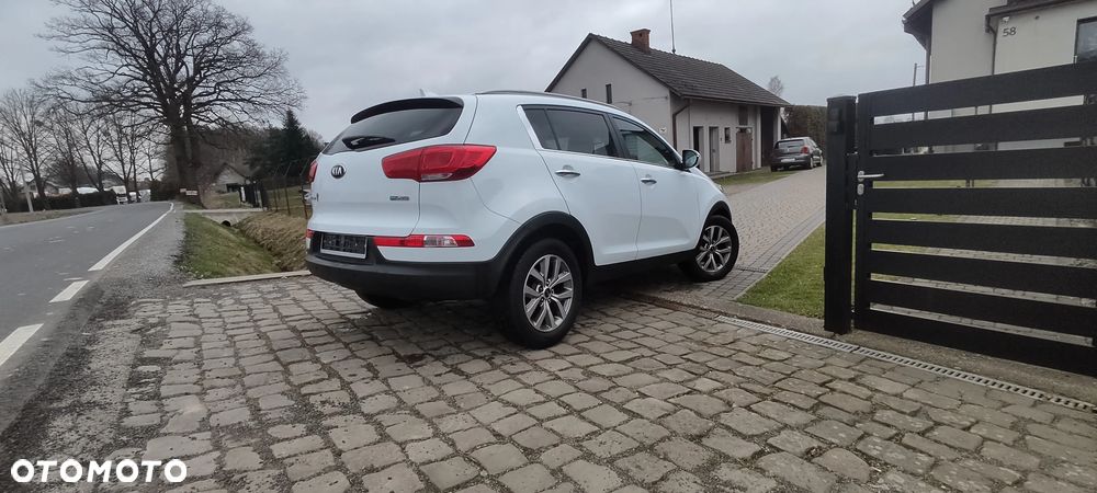 Kia Sportage - 17