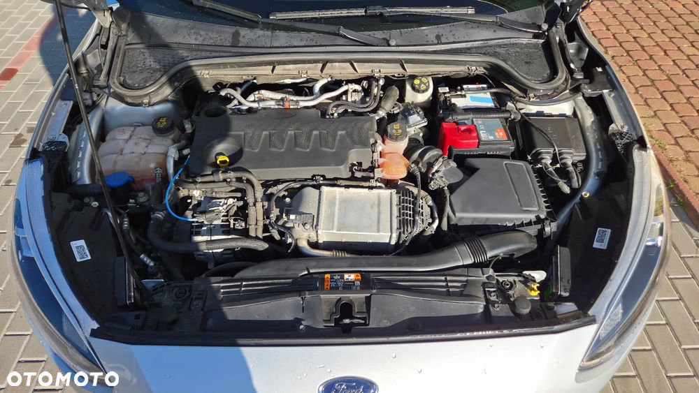 Ford Focus - 8