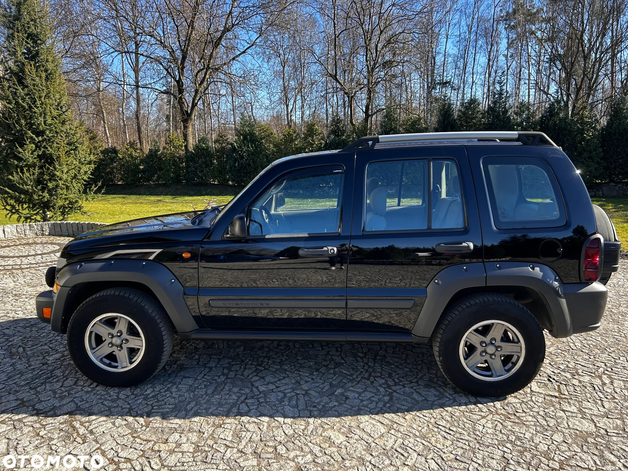 Jeep Cherokee 2.8 CRD Renegade - 6