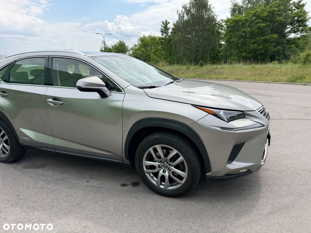 Lexus NX - 19